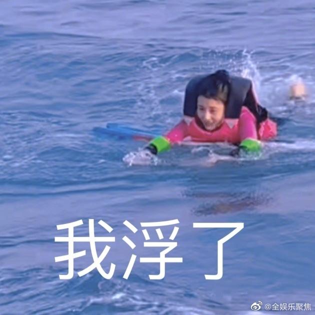 害虫猎人2